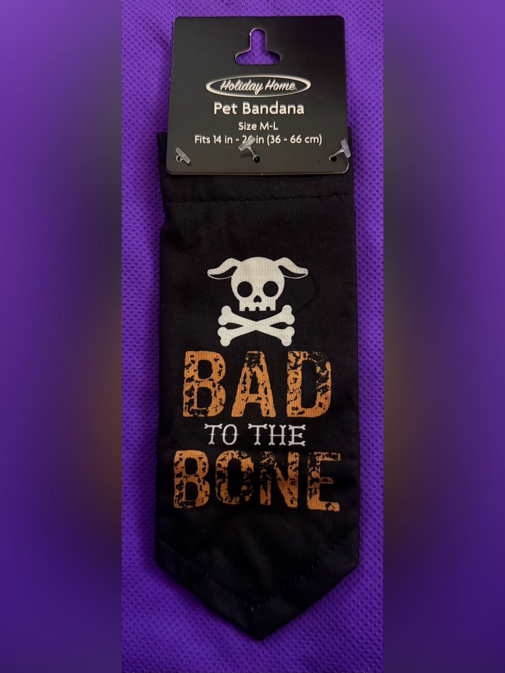 🐾 Black 'Bad to the Bone' Dog Bandana with Skull Graphic
